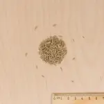 Soin regarnissage - Soin Regarnissage Universel 2 en 1 - 500 g - MEDIA_3D